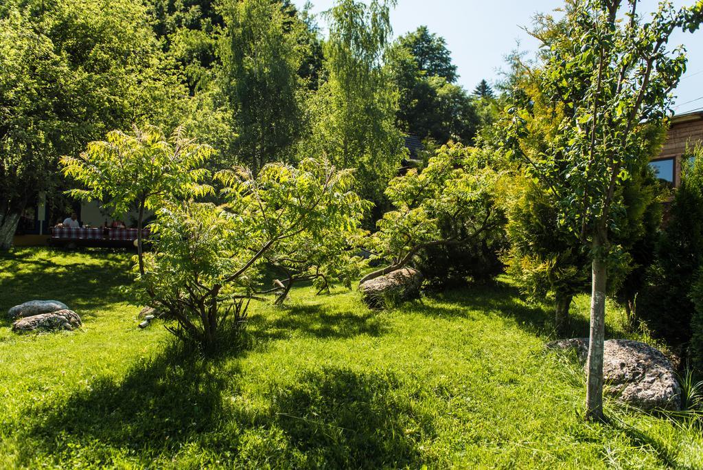 Pensiunea Hanul Oierului Bran  Exteriér fotografie